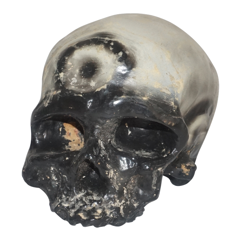 Modelo de crânio de homem de Cro-Magnon em tamanho real