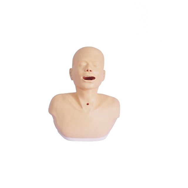 Simulador de cuidados de traqueostomía