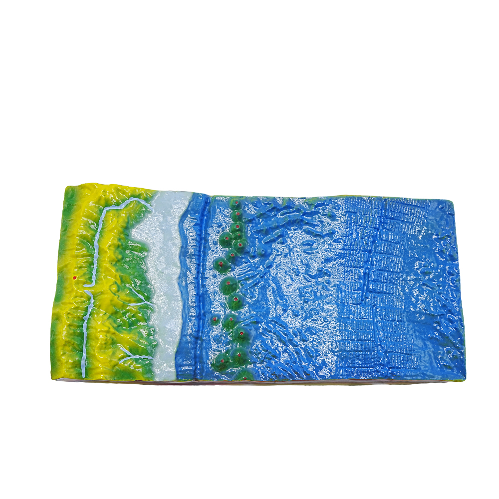 Modelo didático de fundo do mar em plástico