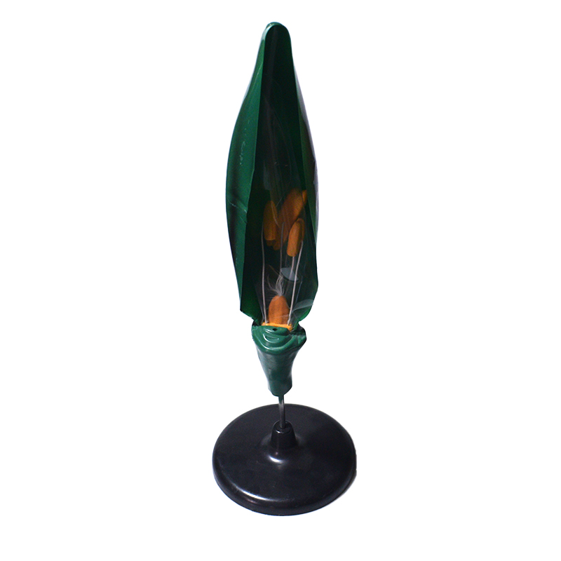 Modelo de la estructura de la flor del trigo