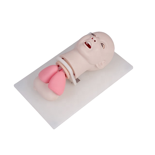 Child Endotracheal Intubation Model