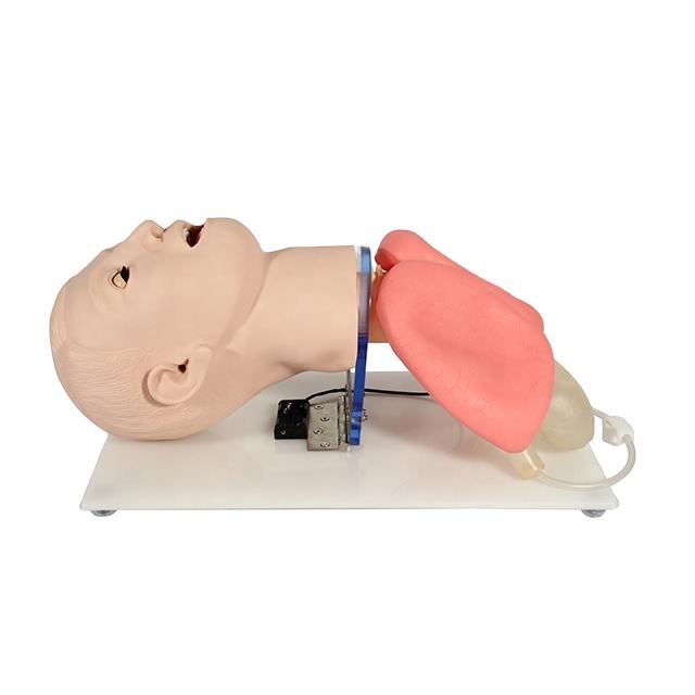 Modelo para treinamento de intubação endotraqueal