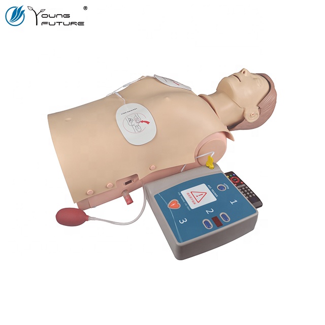 Maniquí de medio cuerpo para entrenamiento de RCP con simulador de DEA